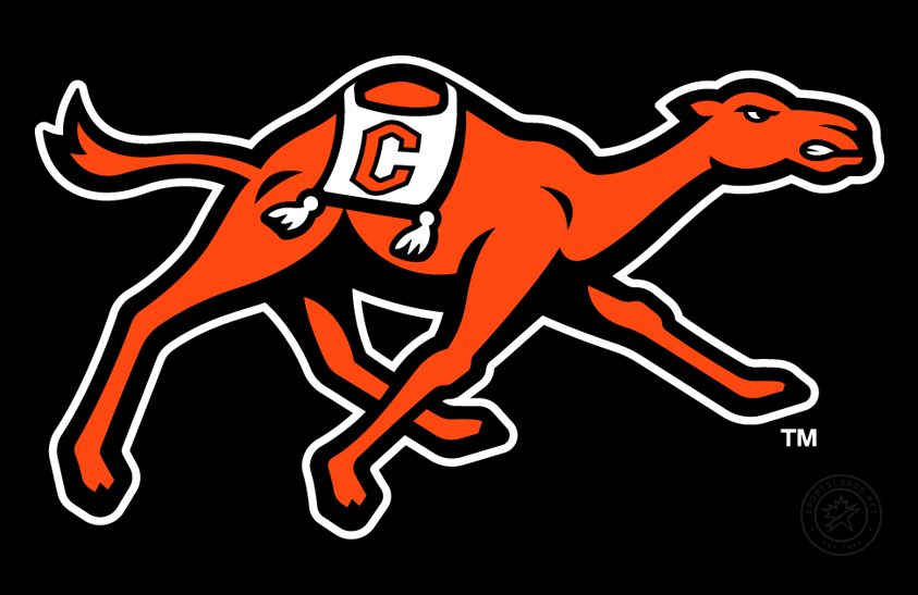 Campbell Fighting Camels 2023-Pres Primary Dark Logo diy iron on heat transfer
